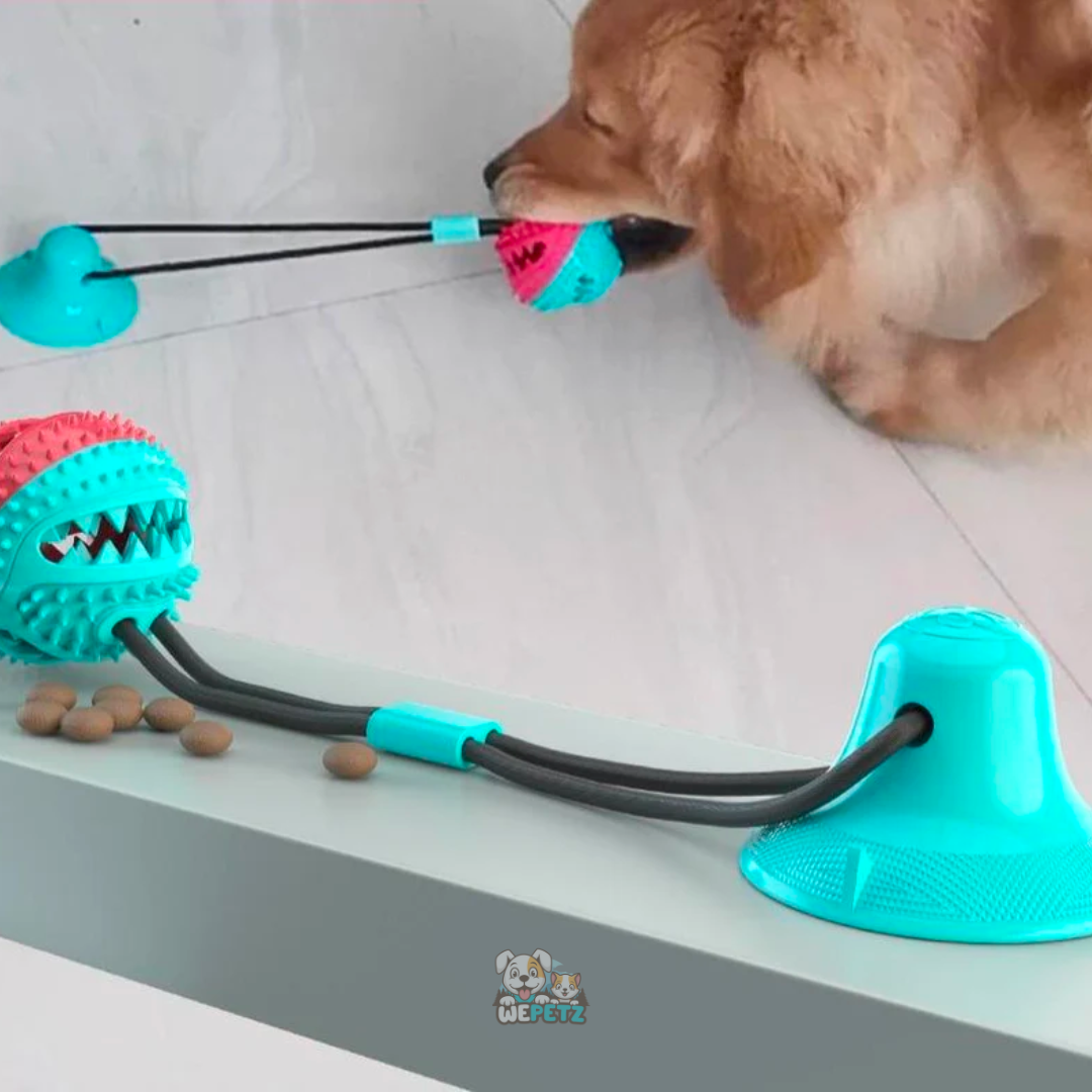 Brinquedo Cabo de Guerra com Porta Petiscos e Mordedor para Cachorro